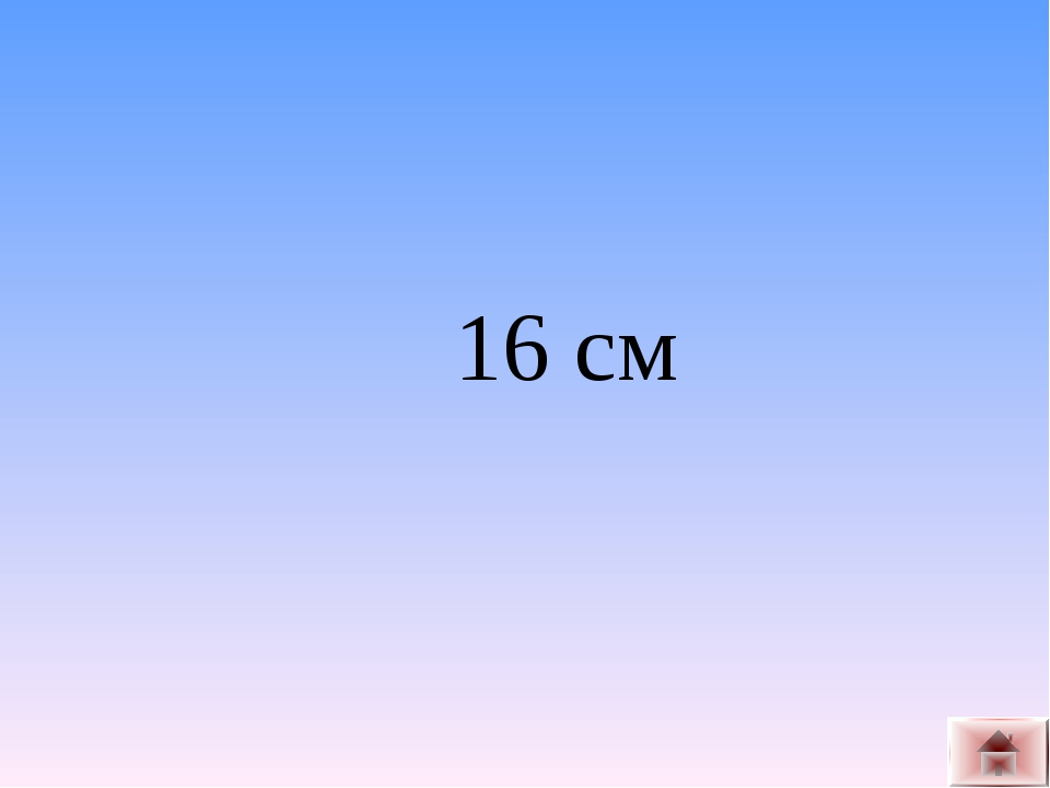 16 см
